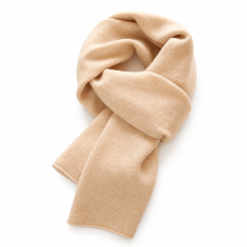 Champagne Beige Classic Scarf